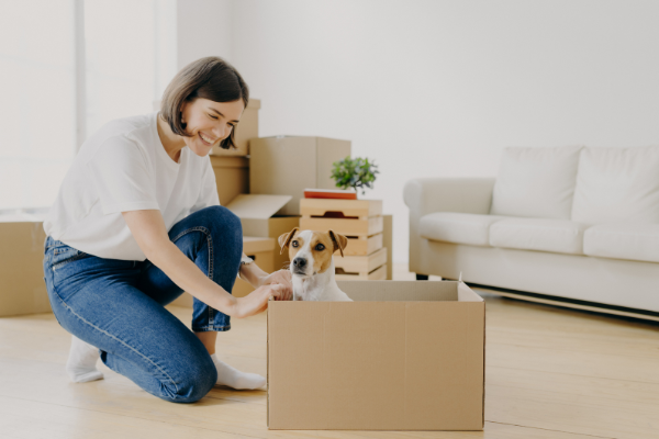 Getting your pet used to moving supplies is one of the ways to make your pet more comfortable