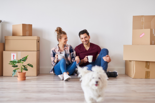 Tips for Moving with Pets Pt2: A Safe Moving Day