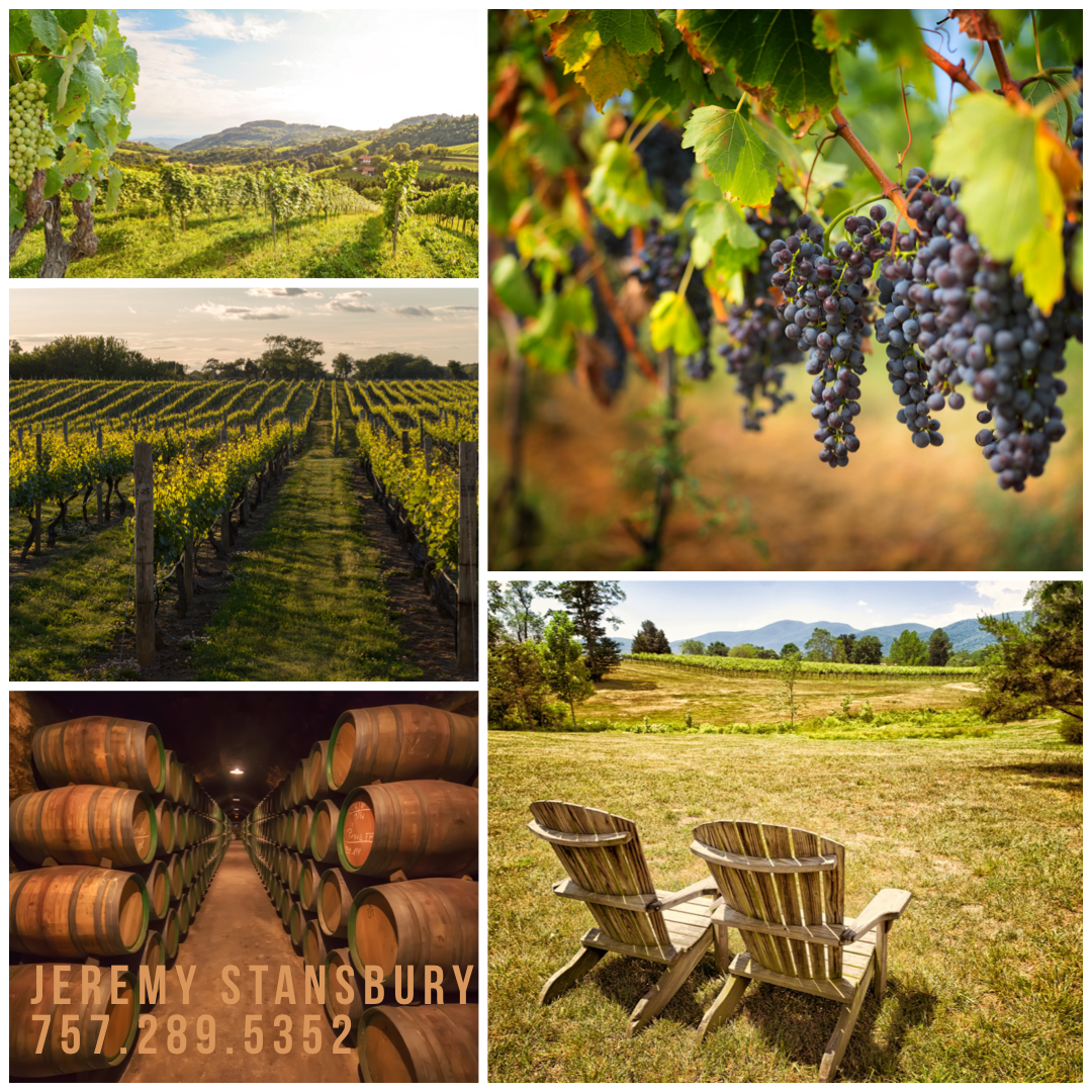 Things To Do- local wineries