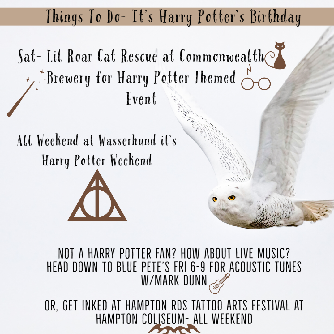 Things to do- It’s Harry Potter’s Birthday