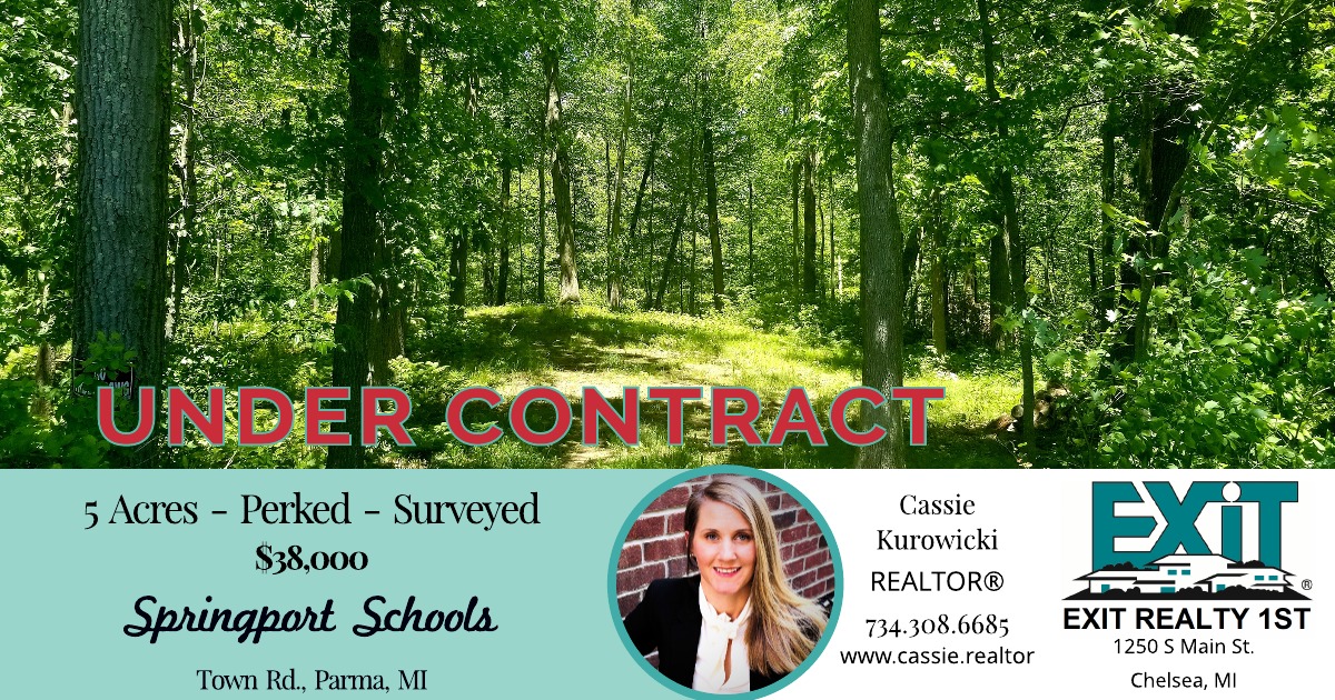 UNDER CONTRACT - Town Rd., Parma MI