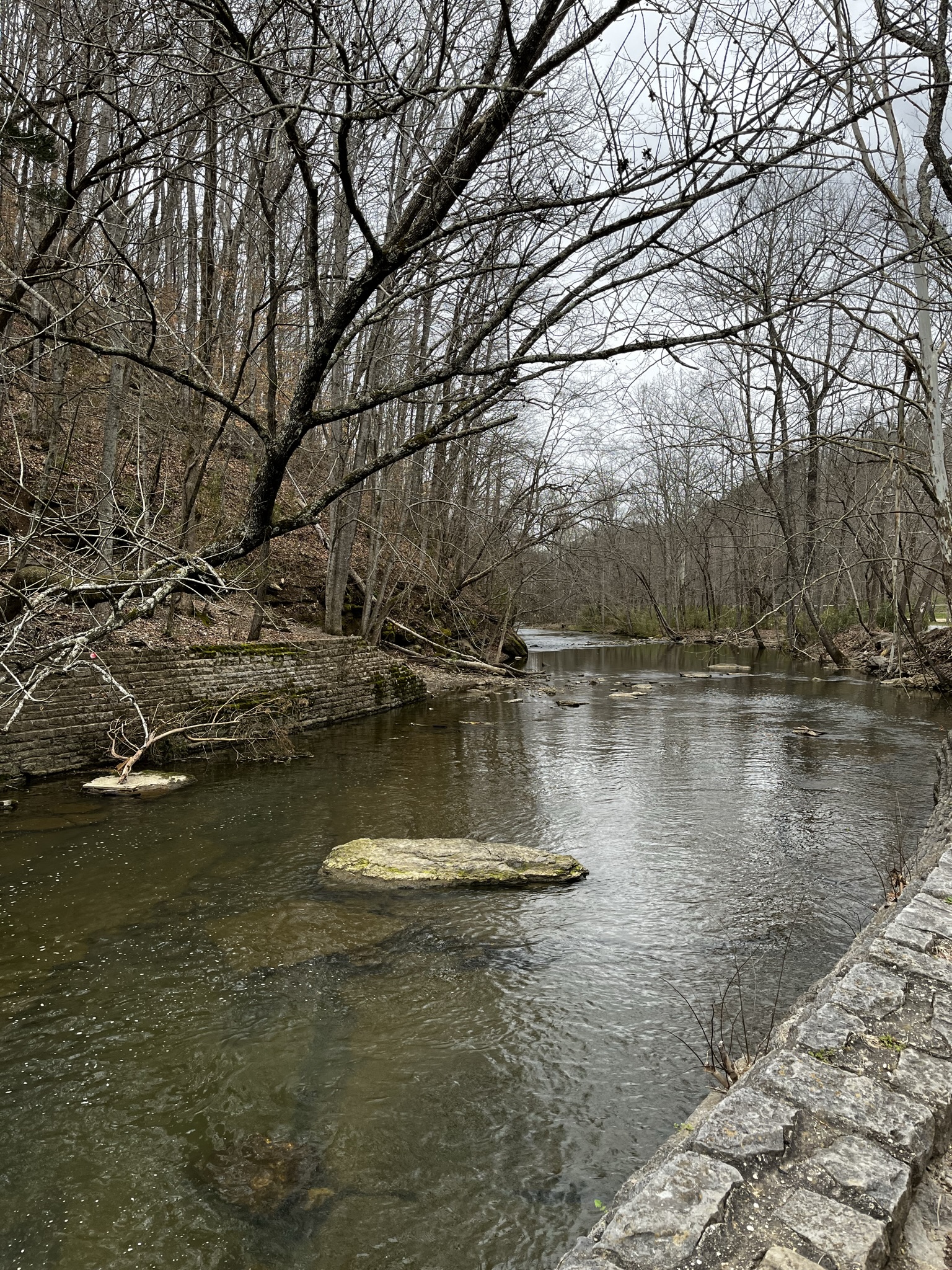 Stone State Park: Where Time Stands Still, and Adventure Begins