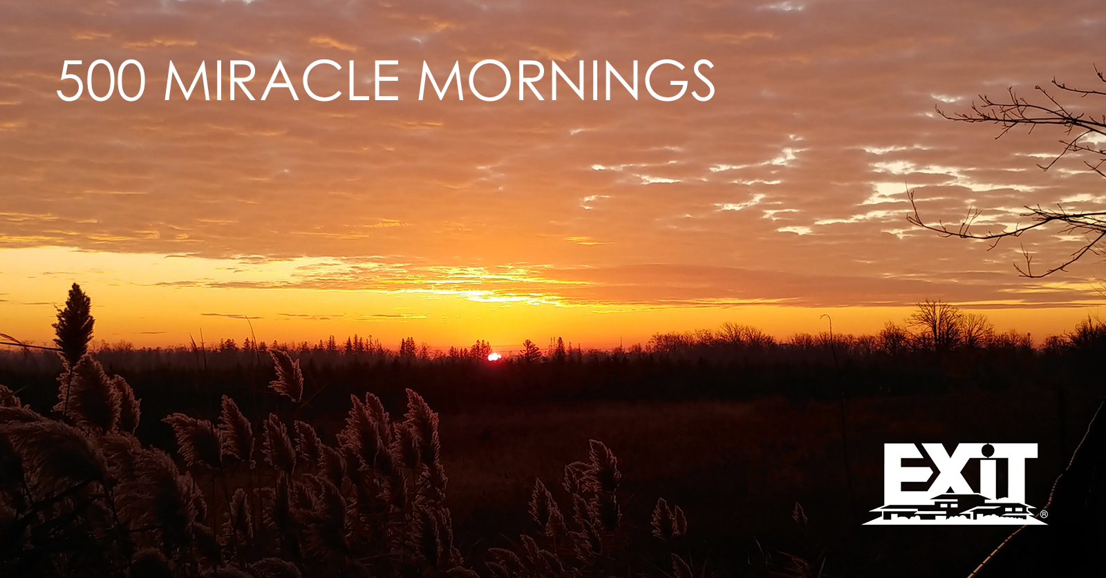 500 Miracle Mornings