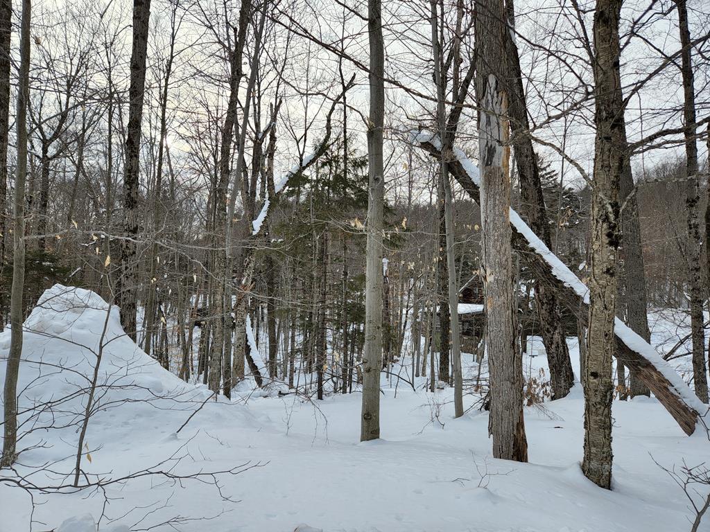 MAY 2022 CLOSED SALES