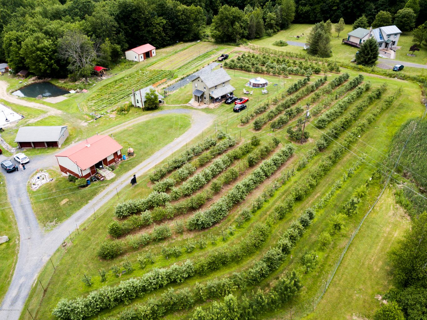 Lewith & Freeman Featured Listing: Acres of Orchards