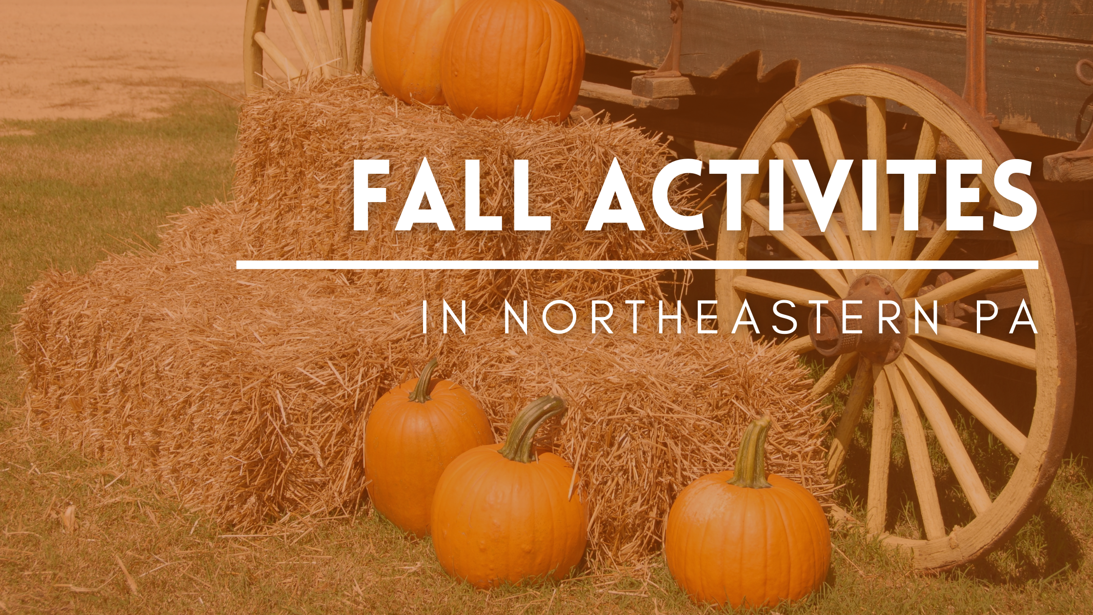 Fall Activities in Northeastern PA