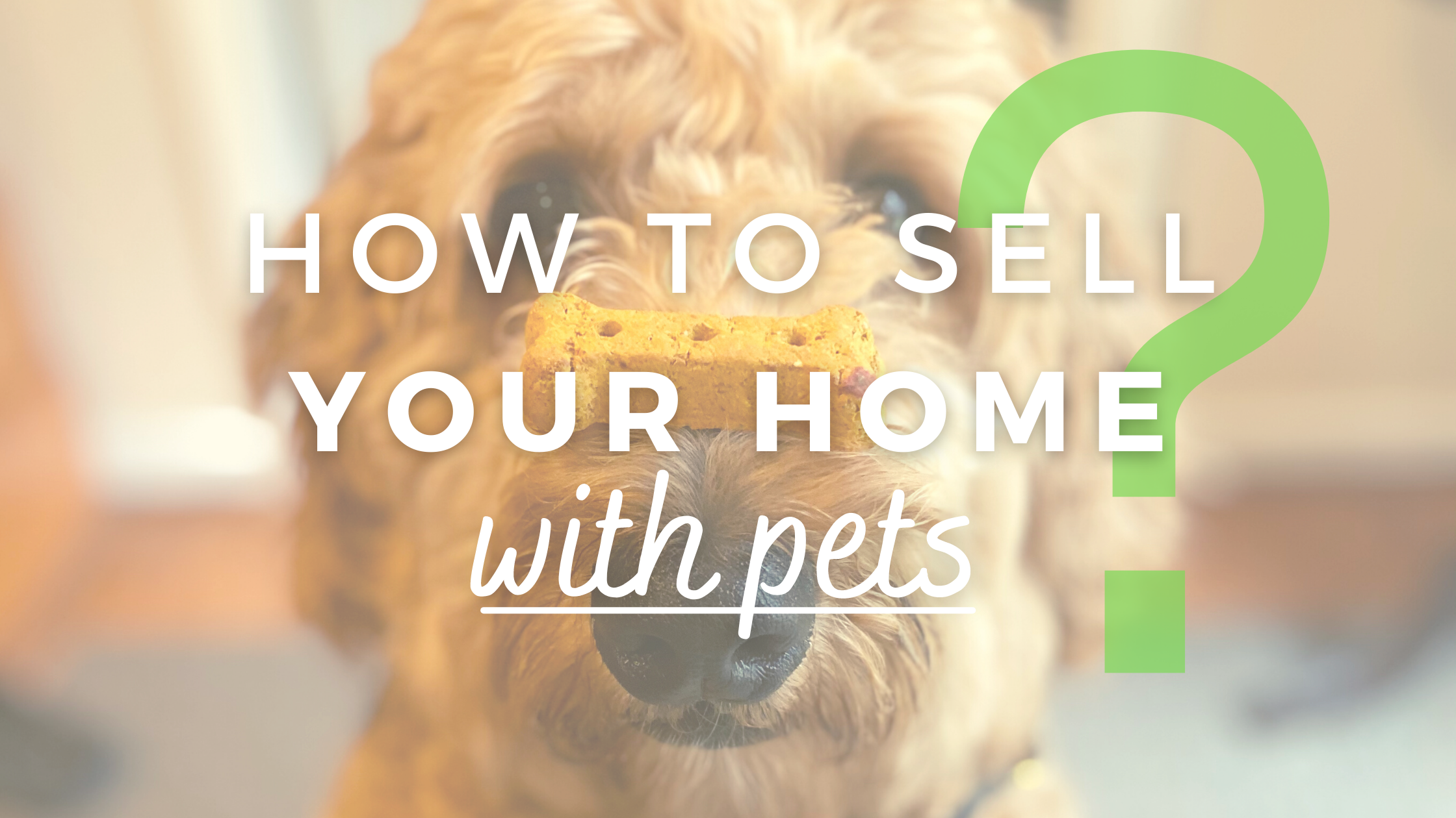 How to Sell Your Home with Pets