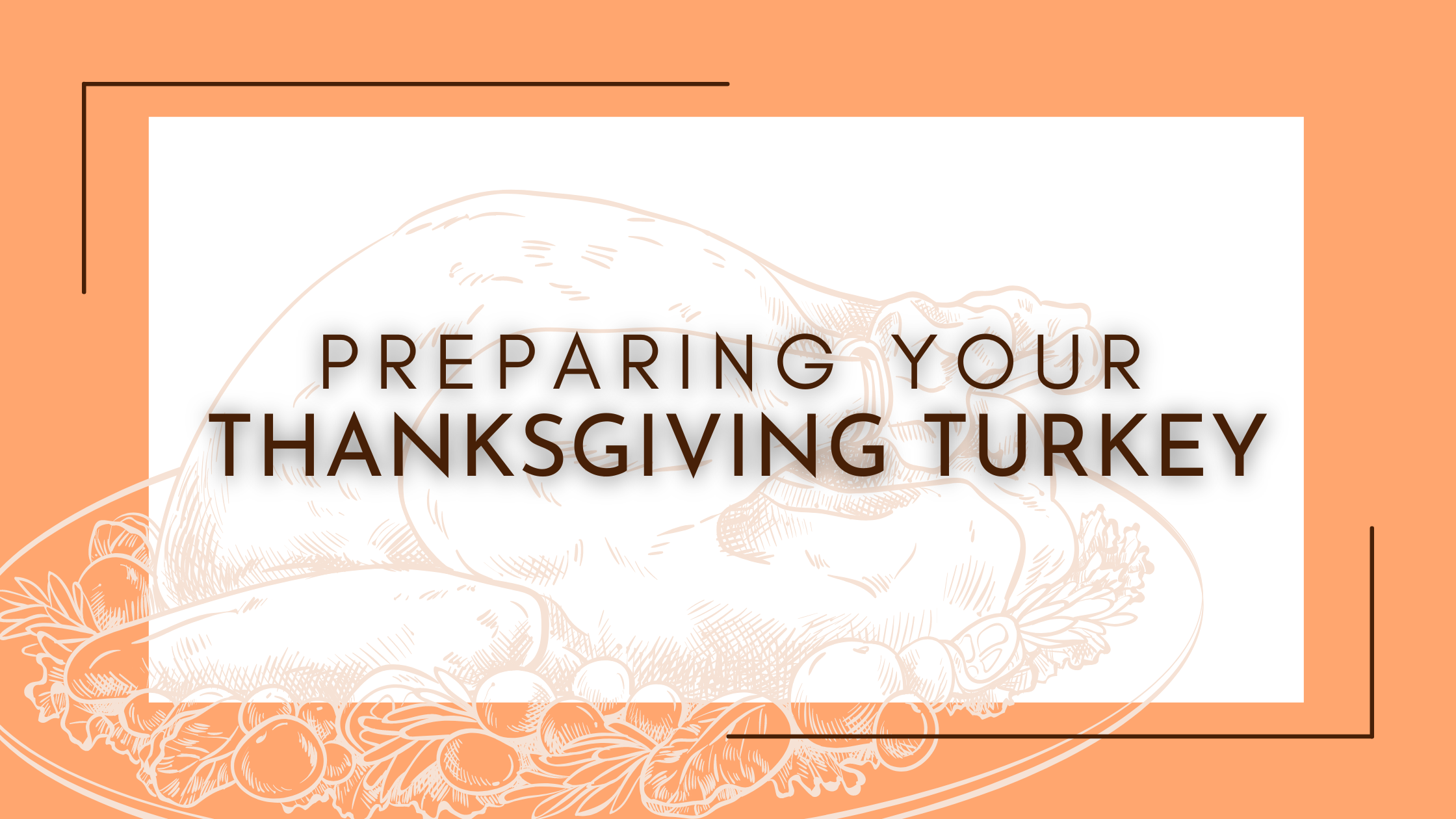 Preparing Your Thanksgiving Turkey
