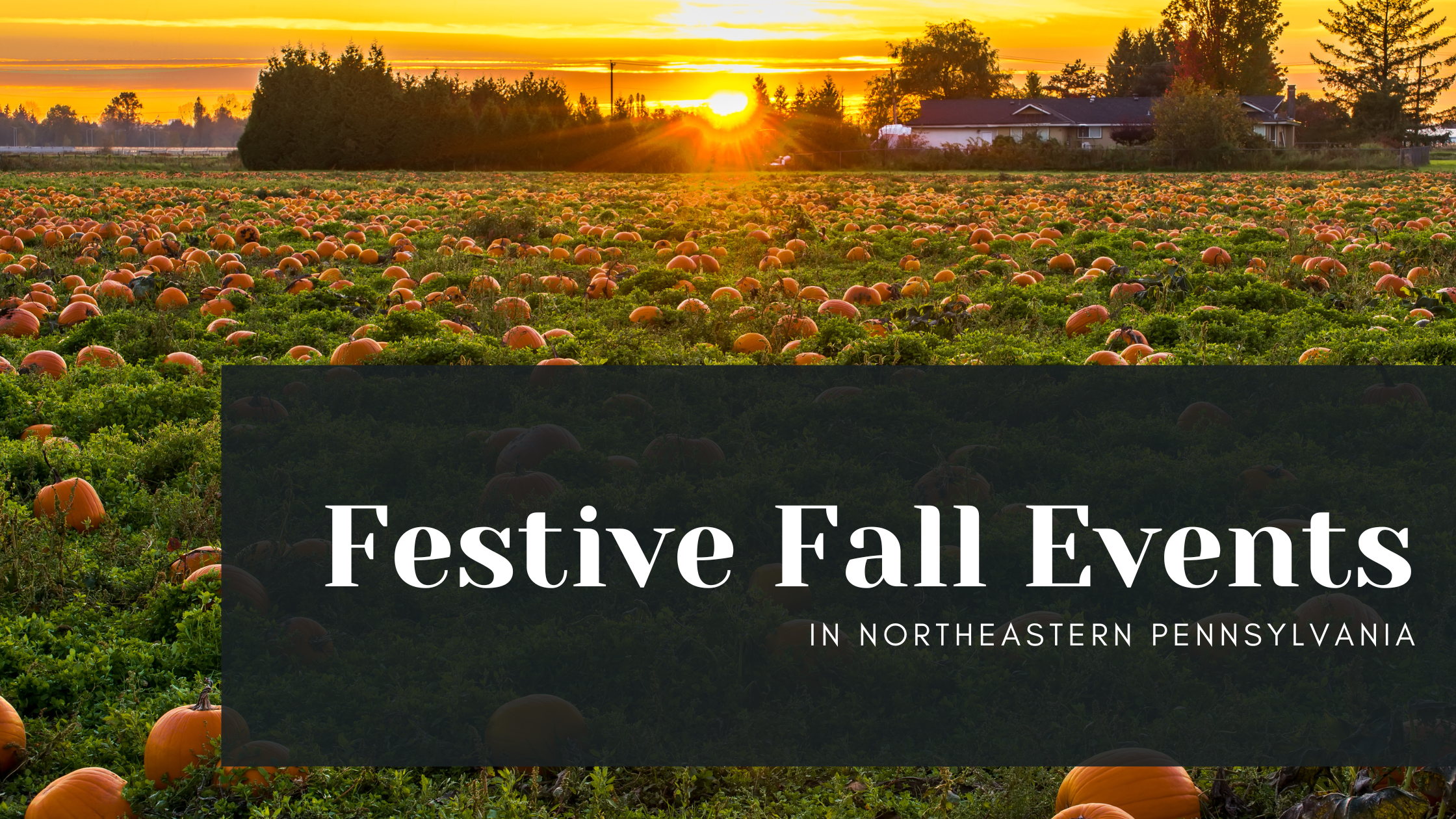 Festive Fall Events in NEPA