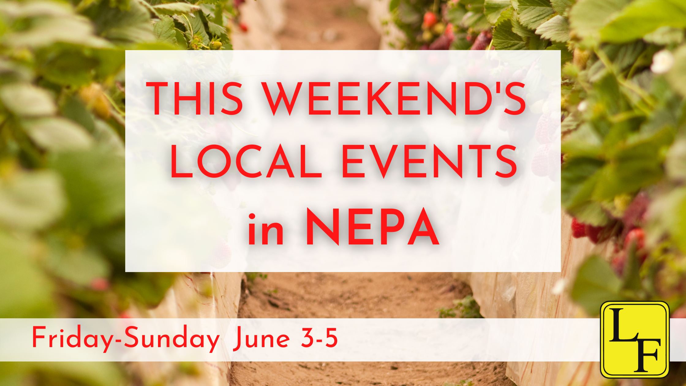 Weekend Events in NEPA 6/3-6/5